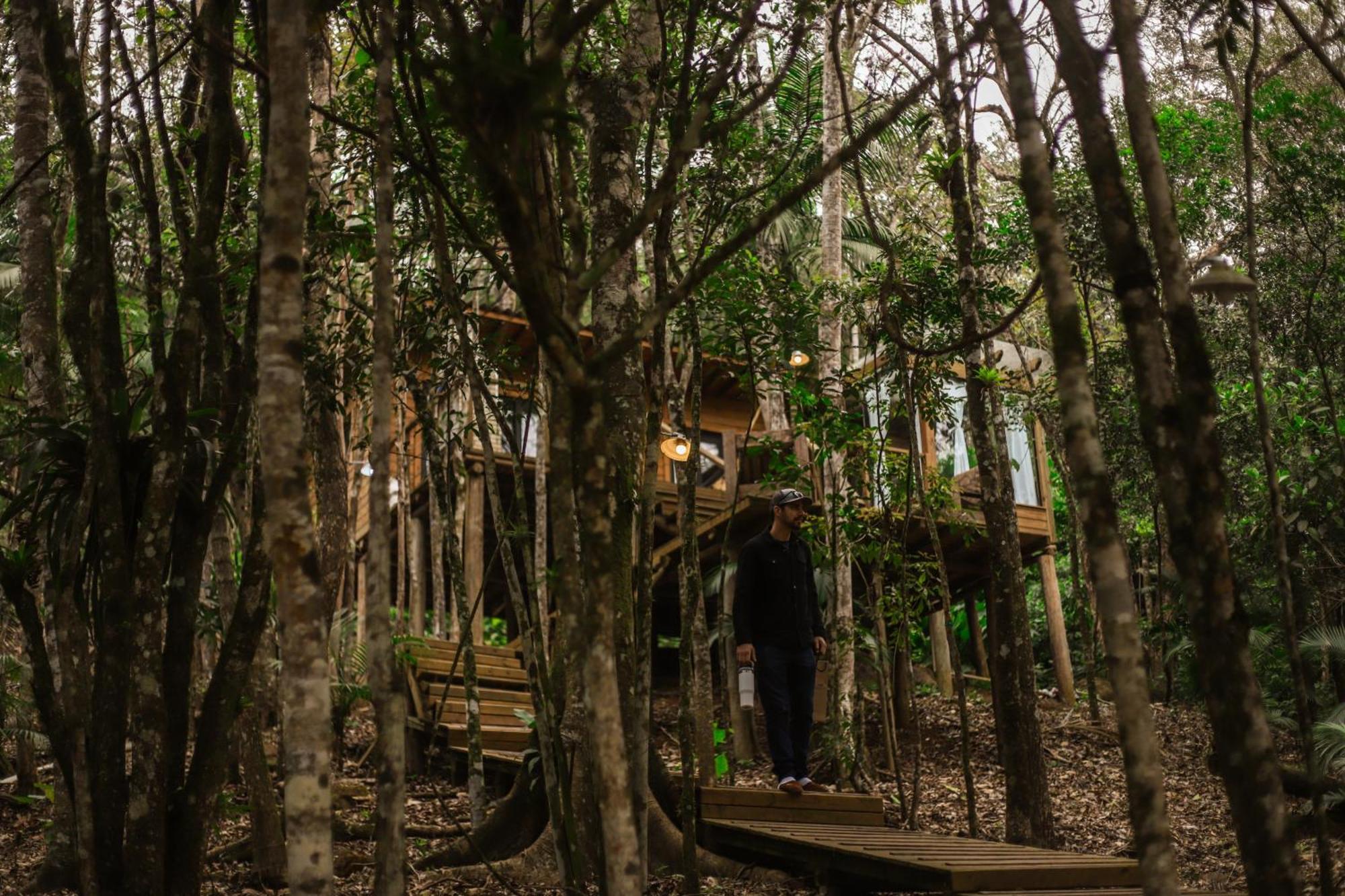 Chale Da Arvore, Vivenda Serra Velha, Chales De Montanha Timbe do Sul Exterior photo